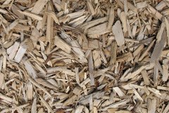 biomass boilers Linstock